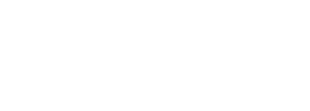 Stellar-Cyber-logo-blanco